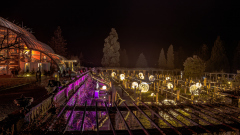 00731_Christmas-Garden-Insel-Mainau_Kurt-Lachner_28.-Dezember-2024@Fototeam-Digital-2024 00731_Christmas-Garden-Insel-Mainau_Kurt-Lachner_28.-Dezember-2024@Fototeam-Digital-2024
