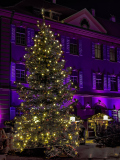 00733_Christmas-Garden-Insel-Mainau_Kurt-Lachner_28.-Dezember-2024@Fototeam-Digital-2024