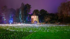 00735_Christmas-Garden-Insel-Mainau_Kurt-Lachner_28.-Dezember-2024@Fototeam-Digital-2024