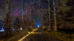 00738_Christmas-Garden-Insel-Mainau_Kurt-Lachner_28.-Dezember-2024@Fototeam-Digital-2024