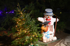 00741_Christmas-Garden-Insel-Mainau_Kurt-Lachner_28.-Dezember-2024@Fototeam-Digital-2024 00741_Christmas-Garden-Insel-Mainau_Kurt-Lachner_28.-Dezember-2024@Fototeam-Digital-2024