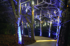 00742_Christmas-Garden-Insel-Mainau_Kurt-Lachner_28.-Dezember-2024@Fototeam-Digital-2024 00742_Christmas-Garden-Insel-Mainau_Kurt-Lachner_28.-Dezember-2024@Fototeam-Digital-2024