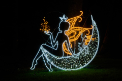 00810_Christmas-Garden-Insel-Mainau_Ingrid-Haemmerle_28.-Dezember-2024@Fototeam-Digital-2024