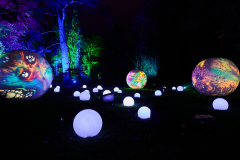 00811_Christmas-Garden-Insel-Mainau_Ingrid-Haemmerle_28.-Dezember-2024@Fototeam-Digital-2024 00811_Christmas-Garden-Insel-Mainau_Ingrid-Haemmerle_28.-Dezember-2024@Fototeam-Digital-2024