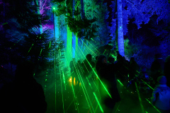 00813_Christmas-Garden-Insel-Mainau_Ingrid-Haemmerle_28.-Dezember-2024@Fototeam-Digital-2024 00813_Christmas-Garden-Insel-Mainau_Ingrid-Haemmerle_28.-Dezember-2024@Fototeam-Digital-2024