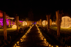 00819_Christmas-Garden-Insel-Mainau_Ingrid-Haemmerle_28.-Dezember-2024@Fototeam-Digital-2024 00819_Christmas-Garden-Insel-Mainau_Ingrid-Haemmerle_28.-Dezember-2024@Fototeam-Digital-2024