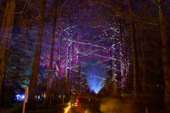 00826_Christmas-Garden-Insel-Mainau_Ingrid-Haemmerle_28.-Dezember-2024@Fototeam-Digital-2024 00826_Christmas-Garden-Insel-Mainau_Ingrid-Haemmerle_28.-Dezember-2024@Fototeam-Digital-2024
