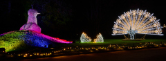 00833_Christmas-Garden-Insel-Mainau_Ingrid-Haemmerle_28.-Dezember-2024@Fototeam-Digital-2024