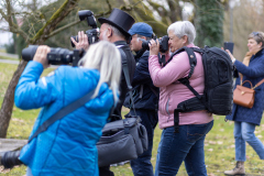 00035_Hallia-Venezia_22.-Februar-2025_Mario-Stecher©Fototeam-Digital-2025