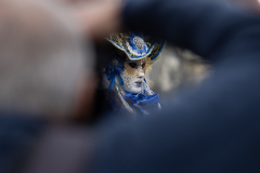 00062_Hallia-Venezia_22.-Februar-2025_Mario-Stecher©Fototeam-Digital-2025