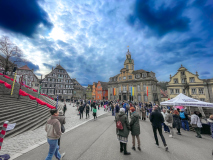 00145_Hallia-Venezia_23.-Februar-2025_Mario-Stecher©Fototeam-Digital-2025
