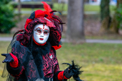 02206_Hallia-Venezia_22.-Februar-2025_Wernfried-Zeilinger©Fototeam-Digital-2025