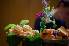 027_Fingerfood__Partiziparty_Roland_Geuze_