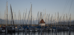 DSC_1498-2