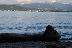 DSC_4229Lindau_IH-
