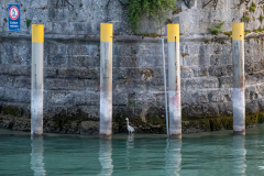 Fotowalk-Lindau_Klemens_16