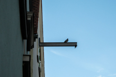 Fotowalk-Lindau_Klemens_2