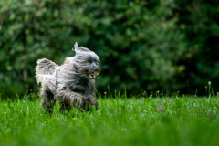 02010Fotofuehrerschein_Teil-IV_Elisabeth-Seeberger23.-August-2025@Fototeam-Digital-2025