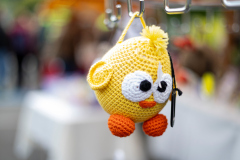 334_Herbstmarkt_Wolfurt_2025_Carina_A@Fototeam-Digital-2025