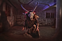 013_Bregazer-Bodaseetuefl_Herbert-Sussitz_@Fototeam-Digital-2025