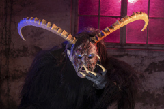 047_Bregazer-Bodaseetuefl_Annemarie-Maldoner_@Fototeam-Digital-2025