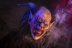 114_Bregazer-Bodaseetuefl_Mario-Nussbaumer_@Fototeam-Digital-2025