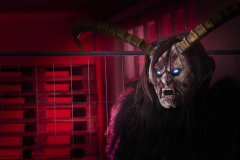 247_Bregazer-Bodaseetuefl_Roland-Geuze_@Fototeam-Digital-2025