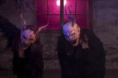 252_Bregazer-Bodaseetuefl_Karin-Mueller-Voegel_@Fototeam-Digital-2025