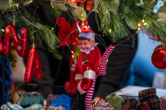 DSC_3761 DSC_3761