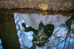 Klemens-Sohler_Hallia-Venezia-2026_FT-Home_21