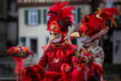 Klemens-Sohler_Hallia-Venezia-2026_FT-Home_27