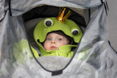 00187_Faschingumzug-Wolfurt_20260214_Mario-Stecher@Fototeam-Digital-2026