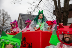 01664_Faschingumzug-Wolfurt_20260214_Mario-Stecher@Fototeam-Digital-2026