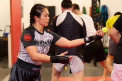 024_MMA_Training_1