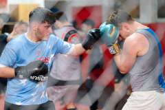 037_MMA_Training
