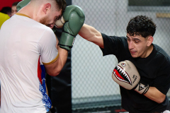 071_MMA_Training