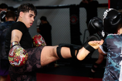 073_MMA_Training 073_MMA_Training
