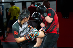 085_MMA_Training