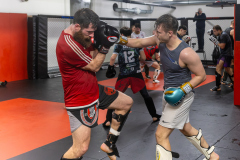 84A1179-CR3_DxO_DeepPRIME