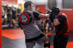 84A1287-CR3_DxO_DeepPRIME 84A1287-CR3_DxO_DeepPRIME