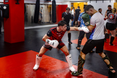 84A1396-CR3_DxO_DeepPRIME 84A1396-CR3_DxO_DeepPRIME