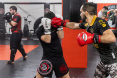 84A1562-CR3_DxO_DeepPRIME 84A1562-CR3_DxO_DeepPRIME