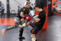 84A1588-CR3_DxO_DeepPRIME 84A1588-CR3_DxO_DeepPRIME