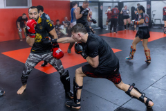 84A1654-CR3_DxO_DeepPRIME 84A1654-CR3_DxO_DeepPRIME