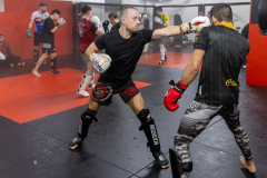 84A1715-CR3_DxO_DeepPRIME 84A1715-CR3_DxO_DeepPRIME