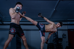 003_Mario-Stecher_28.-Februar-2026 003_Mario-Stecher_28.-Februar-2026