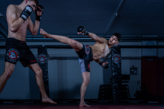 004_Mario-Stecher_28.-Februar-2026