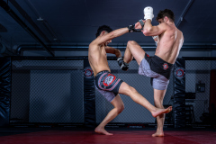 009_Mario-Stecher_28.-Februar-2026