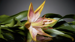 Bildschirmfoto-2025-12-28-um-13.46.32