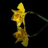 ws-2026-03-18-1162-Bearbeitet